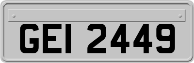 GEI2449