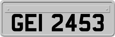 GEI2453