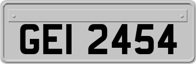 GEI2454