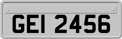 GEI2456