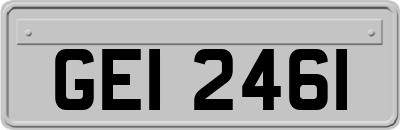 GEI2461
