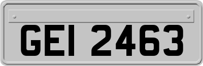 GEI2463