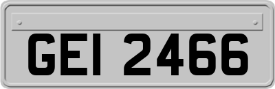 GEI2466