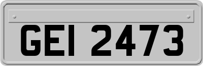 GEI2473