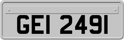 GEI2491