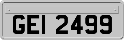 GEI2499