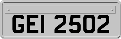 GEI2502