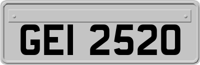GEI2520
