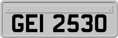 GEI2530