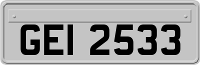 GEI2533