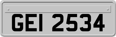 GEI2534