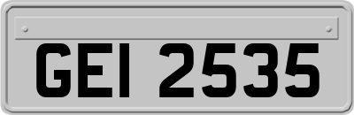 GEI2535