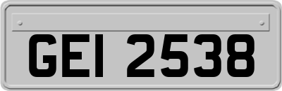GEI2538