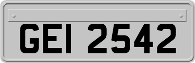 GEI2542