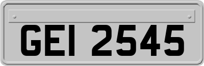 GEI2545