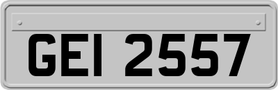GEI2557