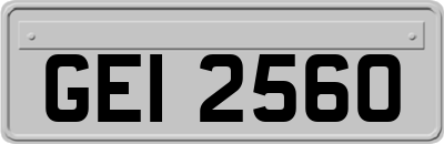 GEI2560