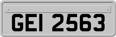 GEI2563