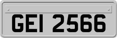GEI2566