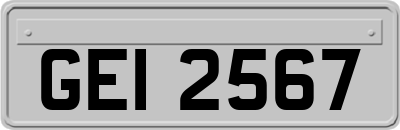 GEI2567