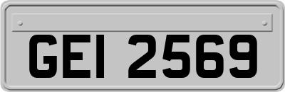 GEI2569