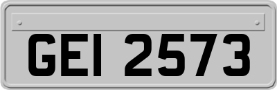 GEI2573