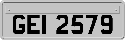 GEI2579