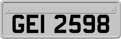 GEI2598