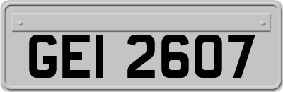 GEI2607