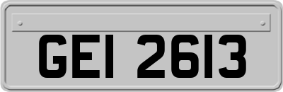 GEI2613
