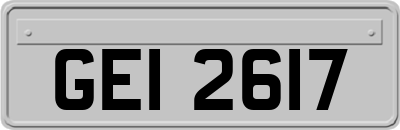GEI2617