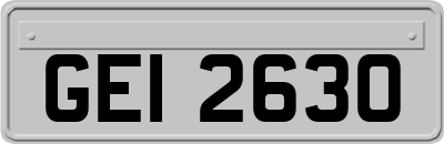 GEI2630