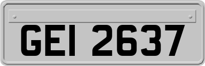 GEI2637