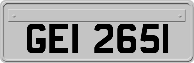 GEI2651