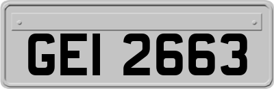 GEI2663