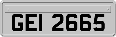 GEI2665