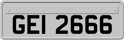 GEI2666