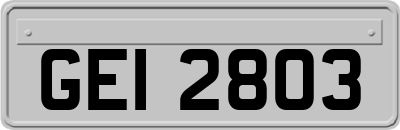 GEI2803