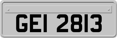 GEI2813