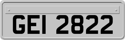 GEI2822