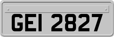 GEI2827