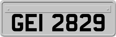 GEI2829