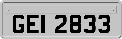 GEI2833