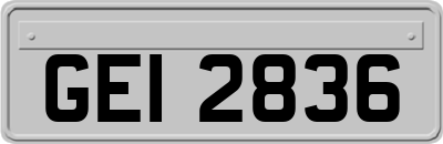 GEI2836