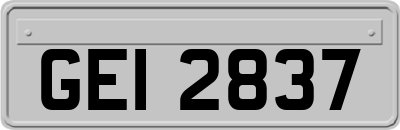 GEI2837