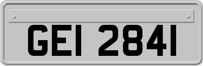 GEI2841