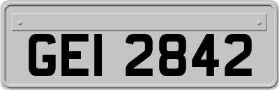 GEI2842