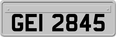 GEI2845