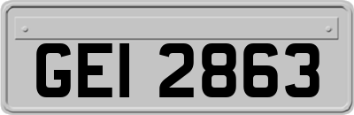 GEI2863