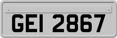 GEI2867